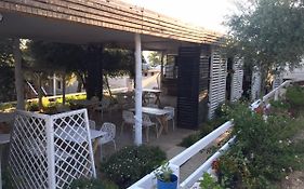 Albanian Garden